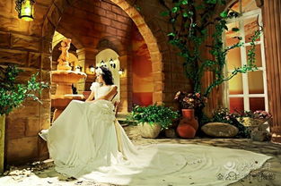 金公主精品婚纱摄影