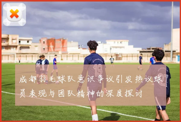 成都羽毛球队意识争议引发热议球员表现与团队精神的深度探讨